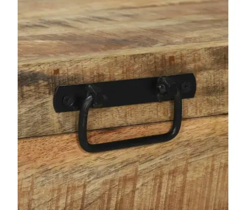 Hoidukirstud Ladustamisega Pruun 80 X 30 X 30 Cm Mangopuit