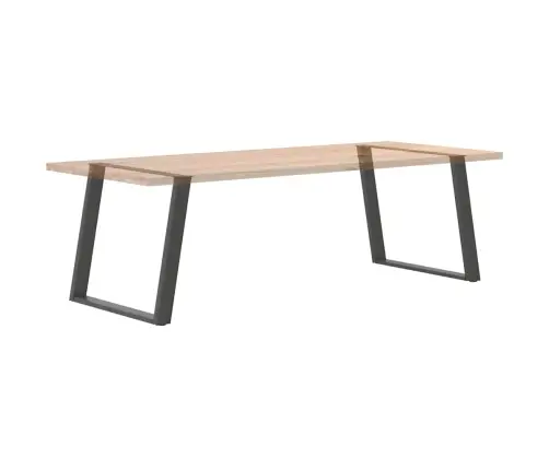 Valgomojo Stalo Kojos, U Formos, 2 Vnt., Antracito Spalvos, 100X(72-73) cm Plienas