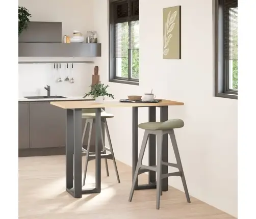 Baro Stalo Kojos, T Formos, 2 Vnt., Antracito Spalvos, 50X35X(100-101) cm Plienas