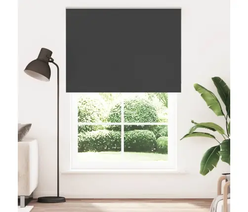 Rullo Žalūzija Blackout Black 165X210 Cm Auduma Platums 161,6Cm Vidaxl