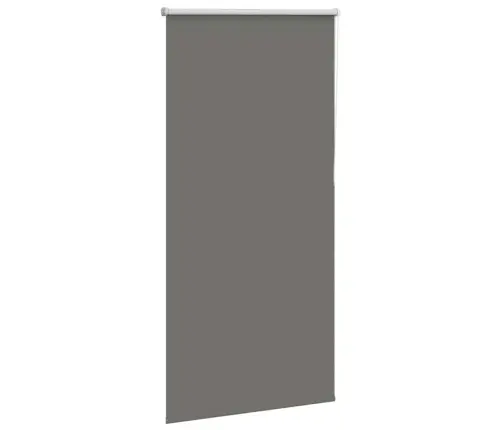 Rullo Žalūzija Pelēks 85X130Cm Auduma Platums 80,7Cm Poliesters Vidaxl Rullo Žalūzija Pelēks 85X130Cm Auduma Platums 80,7Cm Poliesters Vidaxl