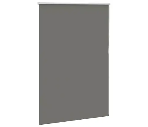 Rullo Žalūzija Pelēks 100X150Cm Auduma Platums Poliesters Vidaxl