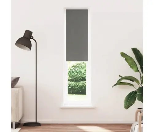 Rullo Žalūzija Blackout Pelēks 55X210 Cm Auduma Platums 50,7 Cm Vidaxl