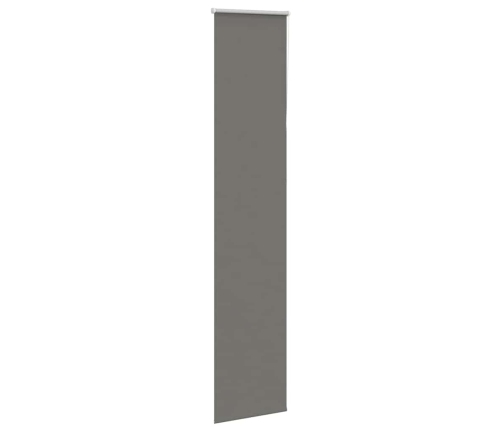 Rullo Žalūzija Pelēks 60X210Cm Auduma Platums 55,7Cm Poliesters Vidaxl