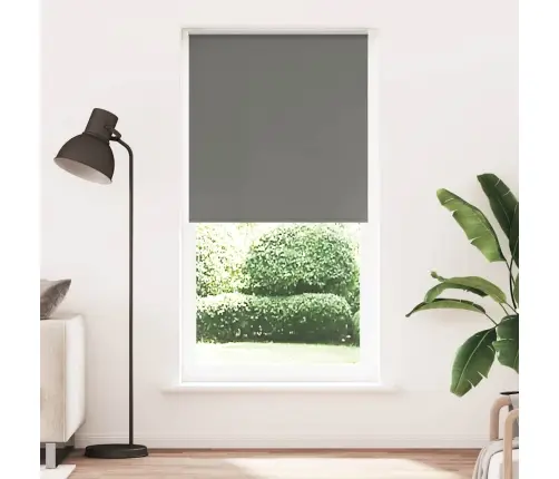 Roletas Pilka 95X210 Cm Audinio Plotis 90,7 Cm Poliesteris