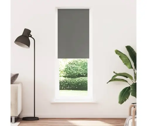 Roletas Pilka 70X230 Cm Audinio Plotis 65,7 Cm Poliesteris