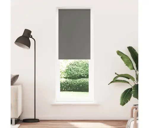 Roletas Pilka 80X230 Cm Audinio Plotis 75,7 Cm Poliesteris