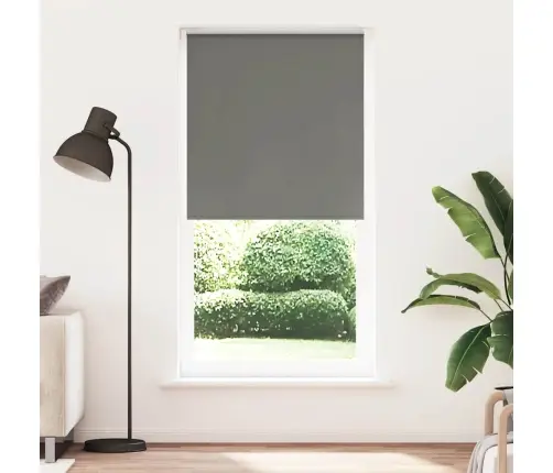 Rullo Žalūzija Pelēks 90X230Cm Auduma Platums 85,7Cm Poliesters Vidaxl