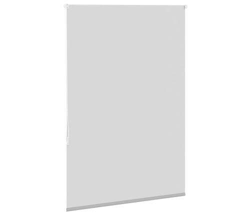 Rullo Žalūzija Gaiši Pelēks 100X175 Cm Auduma Platums 95,7 Cm Vidaxl