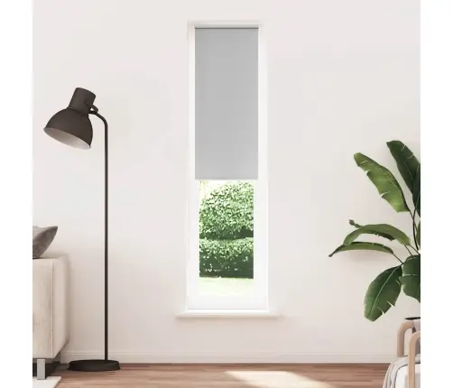 Rullo Žalūzija Blackout Gaiši Pelēks 55X210 Cm Auduma Platums Vidaxl