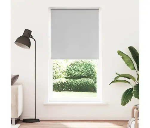 Roletas Šviesiai Pilka 110X230 Cm Audinio Plotis 105,7Cm