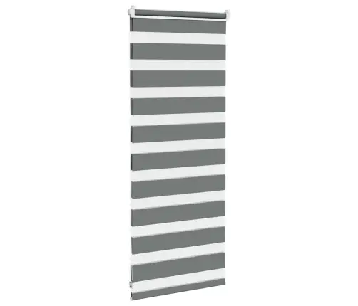 Žalūzijas Zebra 60X100 Cm Auduma Platums 55,9 Cm Poliesters Vidaxl