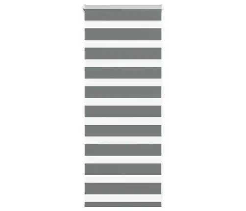 Zebrinės Žaliuzės 65X100 Cm Audinio Plotis 60,9 Cm Poliesteris
