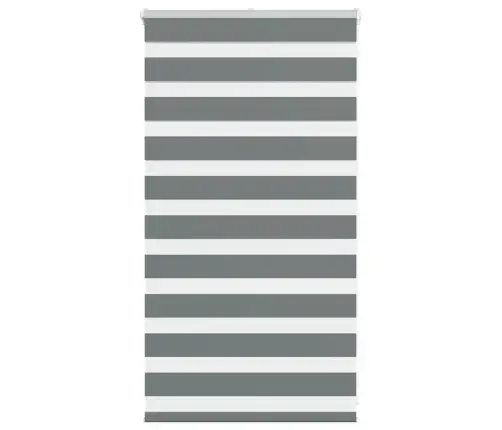 Žalūzijas Zebra 70X100 Cm Auduma Platums 65,9 Cm Poliesters Vidaxl