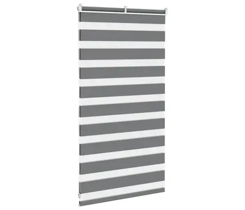 Žalūzijas Zebra 70X100 Cm Auduma Platums 65,9 Cm Poliesters Vidaxl