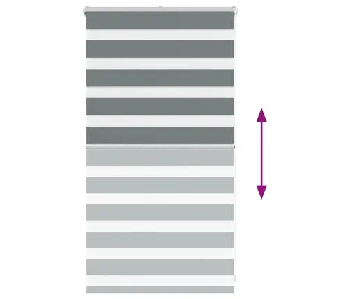 Žalūzijas Zebra 70X100 Cm Auduma Platums 65,9 Cm Poliesters Vidaxl