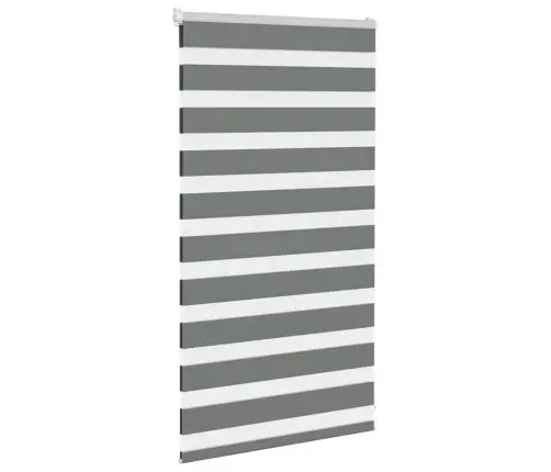 Žalūzijas Zebra 80X100 Cm Auduma Platums 75,9 Cm Poliesters Vidaxl