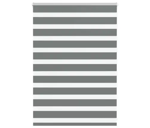 Žalūzijas Zebra 115X100 Cm Auduma Platums 110,9 Cm Poliesters Vidaxl