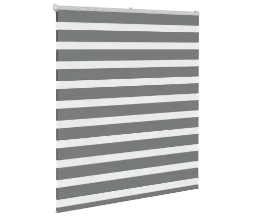 Žalūzijas Zebra 130X100 Cm Auduma Platums 125,9 Cm Poliesters Vidaxl