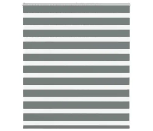 Žalūzijas Zebra 135X100 Cm Auduma Platums 130,9 Cm Poliesters Vidaxl
