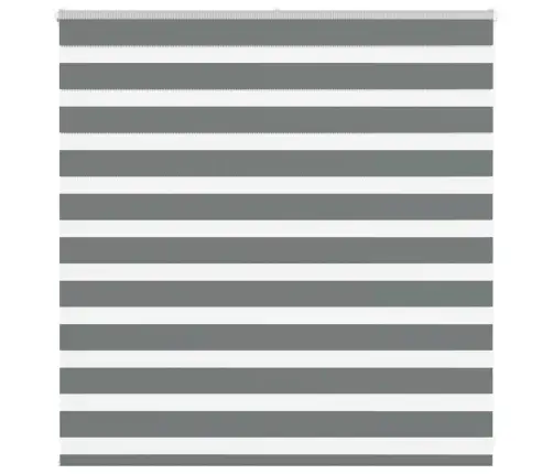 Triibuline Ruloo 150X100 Cm Kanga Laius 145,9 Cm Polüester