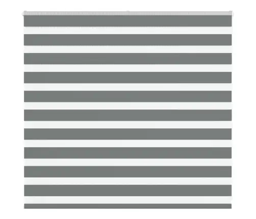 Žalūzijas Zebra 155X100 Cm Auduma Platums 150,9 Cm Poliesters Vidaxl Žalūzijas Zebra 155X100 Cm Auduma Platums 150,9 Cm Poliesters Vidaxl