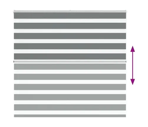 Žalūzijas Zebra 155X100 Cm Auduma Platums 150,9 Cm Poliesters Vidaxl Žalūzijas Zebra 155X100 Cm Auduma Platums 150,9 Cm Poliesters Vidaxl