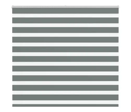 Žalūzijas Zebra 160X100 Cm Auduma Platums 155,9 Cm Poliesters Vidaxl