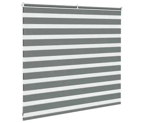 Žalūzijas Zebra 160X100 Cm Auduma Platums 155,9 Cm Poliesters Vidaxl