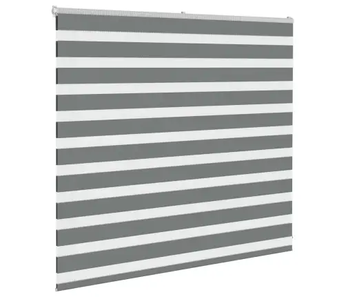 Žalūzijas Zebra 165X100 Cm Auduma Platums 160,9 Cm Poliesters Vidaxl