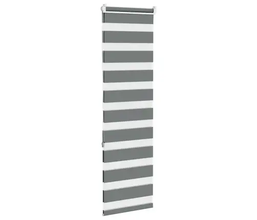 Zebrinės Žaliuzės 45X150 Cm Audinio Plotis 40,9 Cm Poliesteris