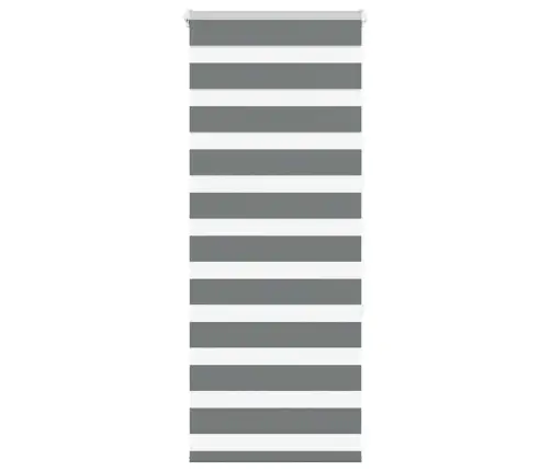 Žalūzijas Zebra 55X150 Cm Auduma Platums 50,9 Cm Poliesters Vidaxl Žalūzijas Zebra 55X150 Cm Auduma Platums 50,9 Cm Poliesters Vidaxl