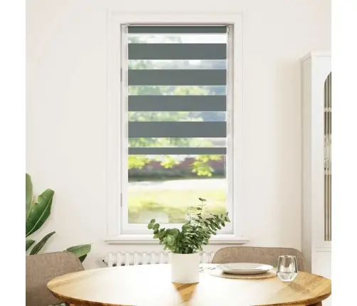 Žalūzijas Zebra 55X150 Cm Auduma Platums 50,9 Cm Poliesters Vidaxl Žalūzijas Zebra 55X150 Cm Auduma Platums 50,9 Cm Poliesters Vidaxl