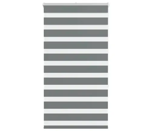 Zebrinės Žaliuzės 75X150 Cm Audinio Plotis 70,9 Cm Poliesteris