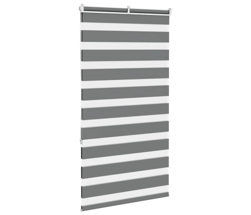 Zebrinės Žaliuzės 85X150 Cm Audinio Plotis 80,9 Cm Poliesteris
