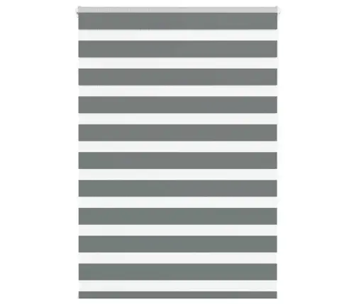 Žalūzijas Zebra 95X150 Cm Auduma Platums 90,9 Cm Poliesters Vidaxl