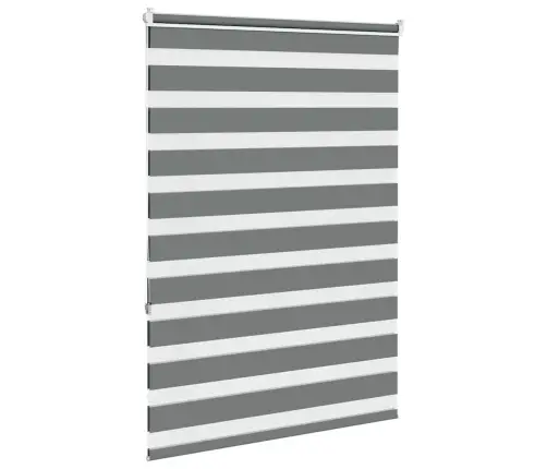 Žalūzijas Zebra 95X150 Cm Auduma Platums 90,9 Cm Poliesters Vidaxl