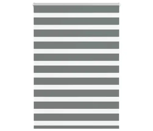Zebrinės Žaliuzės 100X150 Cm Audinio Plotis 95,9 Cm Poliesteris