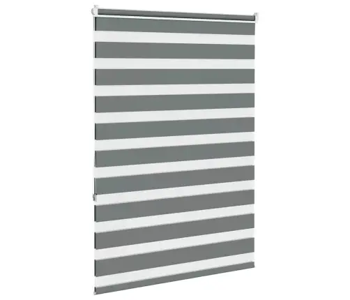 Žalūzijas Zebra 115X150 Cm Auduma Platums 110,9 Cm Poliesters Vidaxl