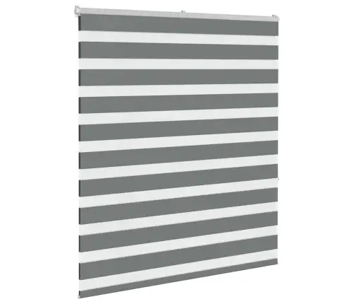 Žalūzijas Zebra 120X150 Cm Auduma Platums 115,9 Cm Poliesters Vidaxl Žalūzijas Zebra 120X150 Cm Auduma Platums 115,9 Cm Poliesters Vidaxl