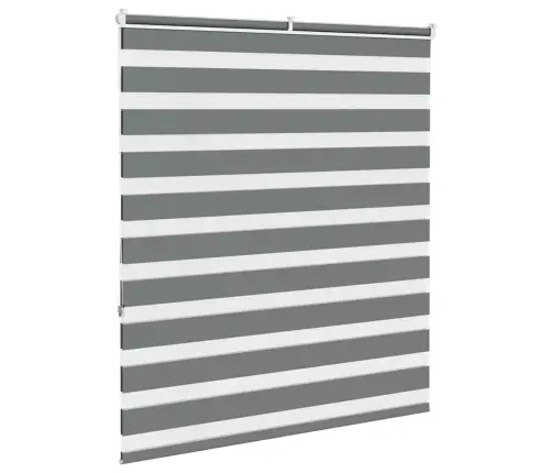 Žalūzijas Zebra 120X150 Cm Auduma Platums 115,9 Cm Poliesters Vidaxl Žalūzijas Zebra 120X150 Cm Auduma Platums 115,9 Cm Poliesters Vidaxl