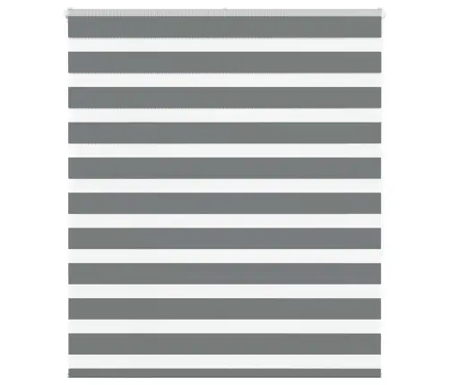 Žalūzijas Zebra 125X150 Cm Auduma Platums 120,9 Cm Poliesters Vidaxl