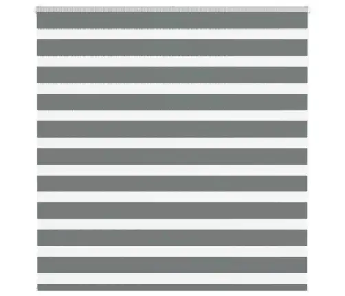 Žalūzijas Zebra 140X150 Cm Auduma Platums 135,9 Cm Poliesters Vidaxl