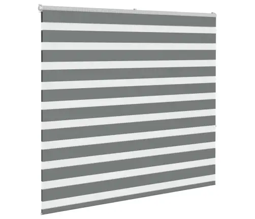 Žalūzijas Zebra 155X150 Cm Auduma Platums 150,9 Cm Poliesters Vidaxl
