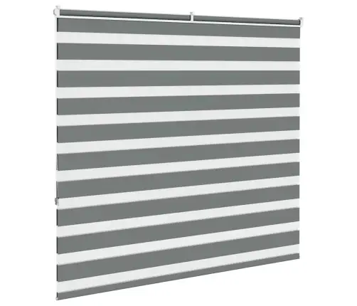 Žalūzijas Zebra 155X150 Cm Auduma Platums 150,9 Cm Poliesters Vidaxl
