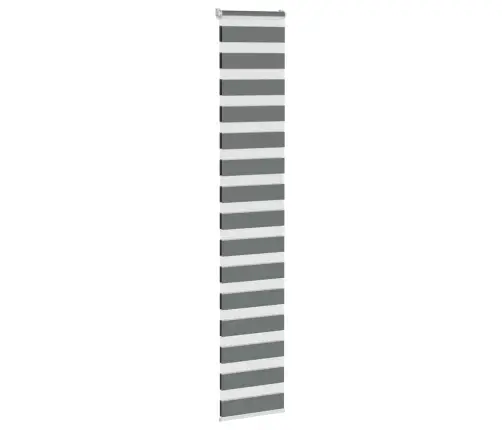 Žalūzijas Zebra 40X200 Cm Auduma Platums 35,9 Cm Poliesters Vidaxl Žalūzijas Zebra 40X200 Cm Auduma Platums 35,9 Cm Poliesters Vidaxl