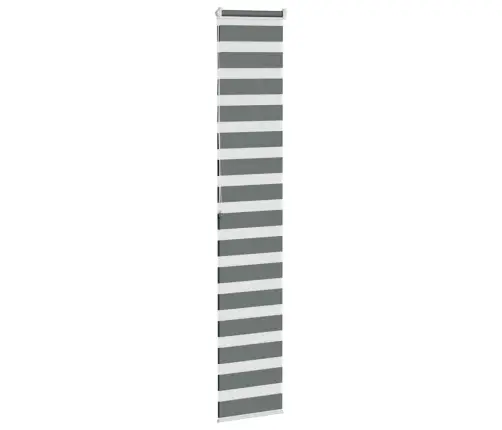 Žalūzijas Zebra 40X200 Cm Auduma Platums 35,9 Cm Poliesters Vidaxl Žalūzijas Zebra 40X200 Cm Auduma Platums 35,9 Cm Poliesters Vidaxl