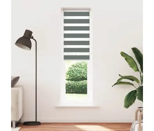 Zebrinės Žaliuzės 55X200 Cm Audinio Plotis 50,9 Cm Poliesteris