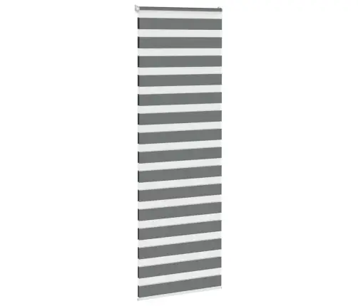 Zebrinės Žaliuzės 75X200 Cm Audinio Plotis 70,9 Cm Poliesteris