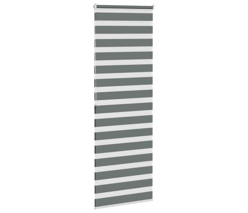 Žalūzijas Zebra 80X200 Cm Auduma Platums 75,9 Cm Poliesters Vidaxl